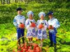Фестиваль-праздник народного творчества "Земляничная поляна"